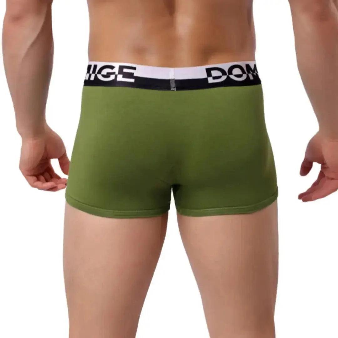 Men's Cotton Boxer Briefs with Silver Waistband and Turtle Shell Design Male Underwears - His Inwear