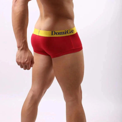 Men's Low-Rise Briefs with Full Coverage and Contrast Logo Waistband Trunks - His Inwear