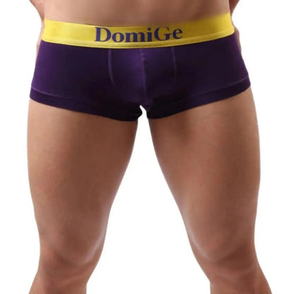 Men's Low-Rise Briefs with Full Coverage and Contrast Logo Waistband Trunks - His Inwear