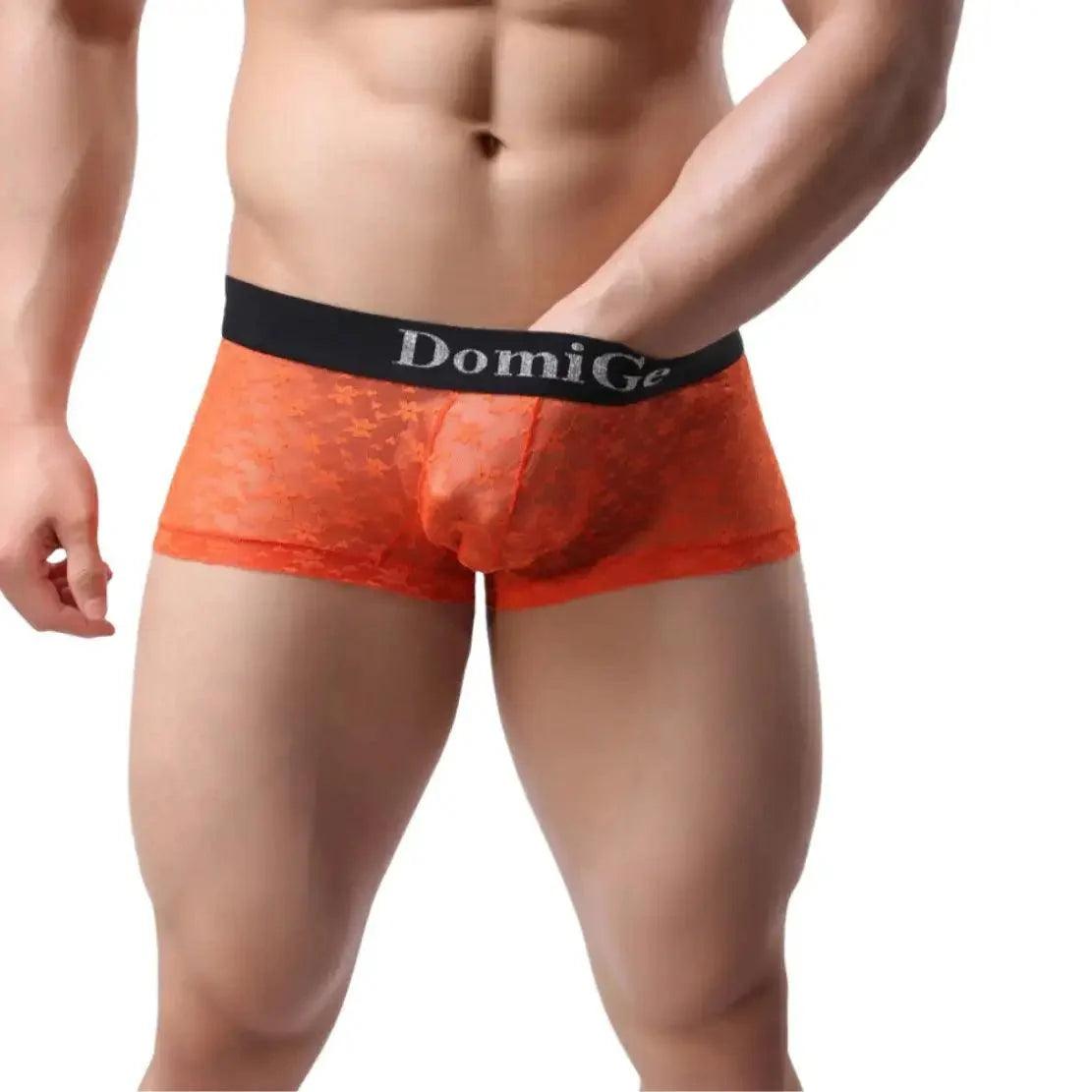 Men's Mesh and Sheer Trunks with Stylish Logo Waistband - Ultimate Comfort & Seduction Male Underwear - His Inwear