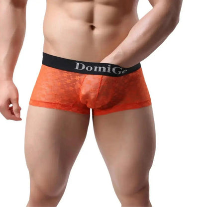 Men's Mesh and Sheer Trunks with Stylish Logo Waistband - Ultimate Comfort & Seduction Male Underwear - His Inwear