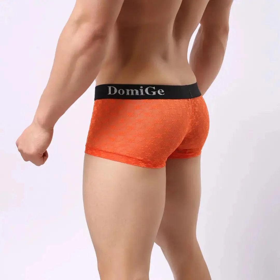 Men's Mesh and Sheer Trunks with Stylish Logo Waistband - Ultimate Comfort & Seduction Male Underwear - His Inwear