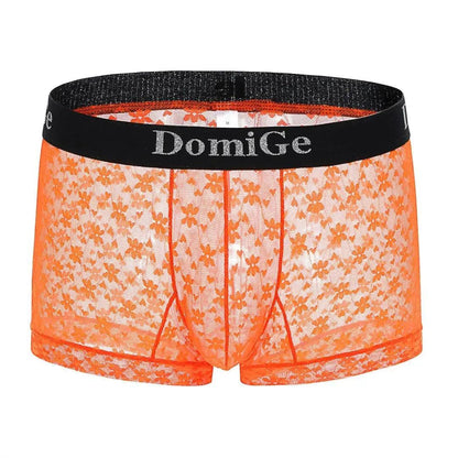 Men's Mesh and Sheer Trunks with Stylish Logo Waistband - Ultimate Comfort & Seduction Male Underwear - His Inwear