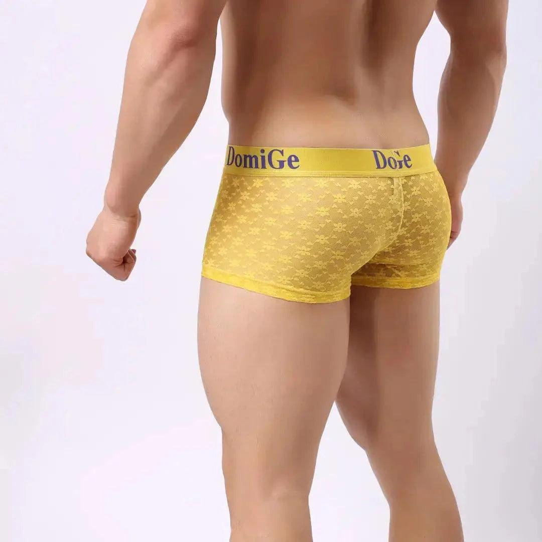 Men's Mesh and Sheer Trunks with Stylish Logo Waistband - Ultimate Comfort & Seduction Male Underwear - His Inwear