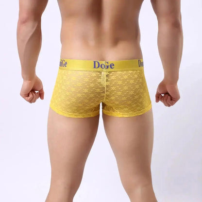 Men's Mesh and Sheer Trunks with Stylish Logo Waistband - Ultimate Comfort & Seduction Male Underwear - His Inwear