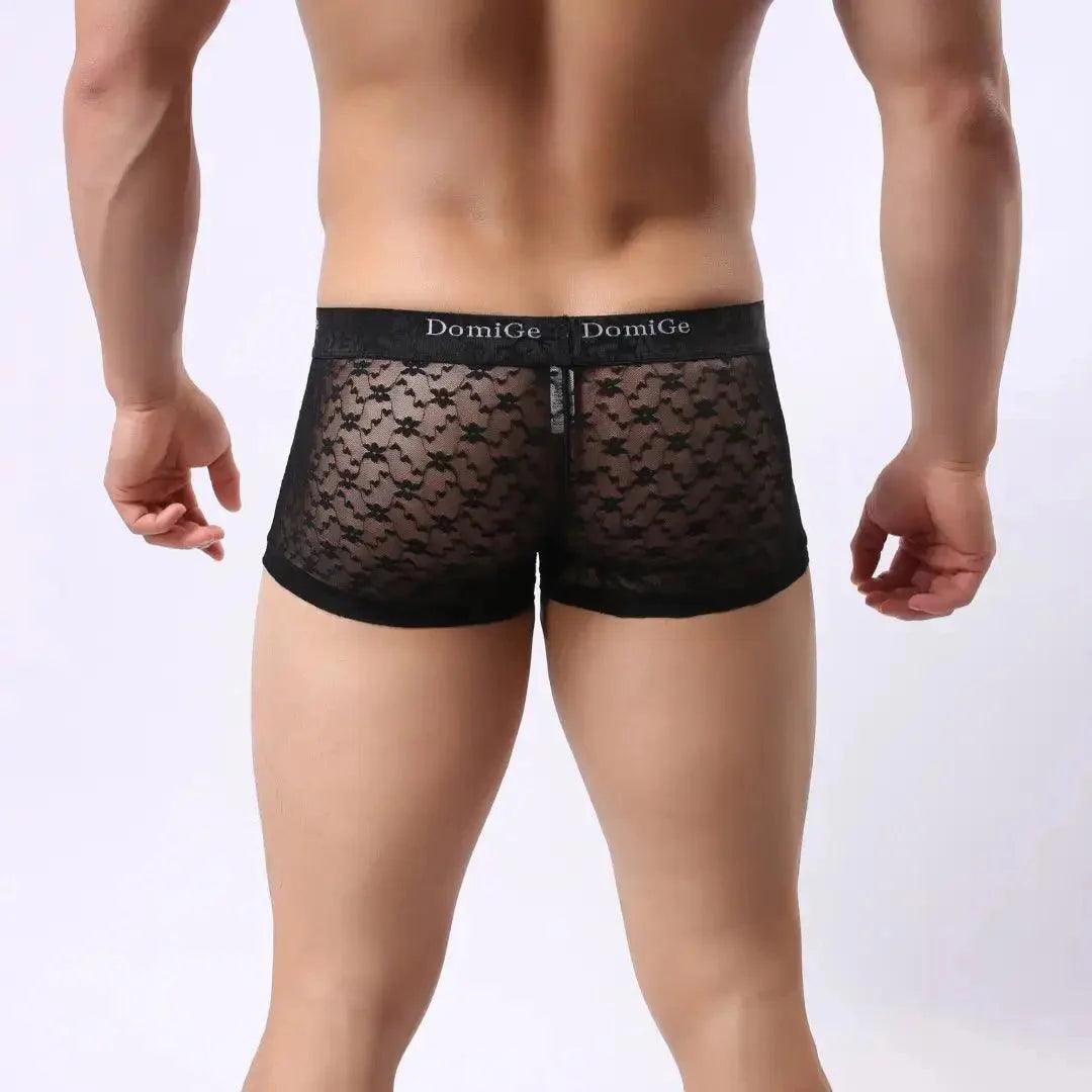 Men's Mesh and Sheer Trunks with Stylish Logo Waistband - Ultimate Comfort & Seduction Male Underwear - His Inwear