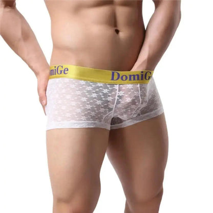 Men's Mesh and Sheer Trunks with Stylish Logo Waistband - Ultimate Comfort & Seduction Male Underwear - His Inwear