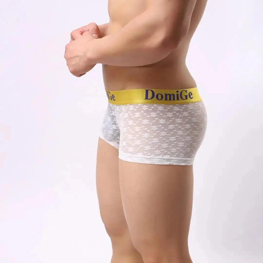 Men's Mesh and Sheer Trunks with Stylish Logo Waistband - Ultimate Comfort & Seduction Male Underwear - His Inwear