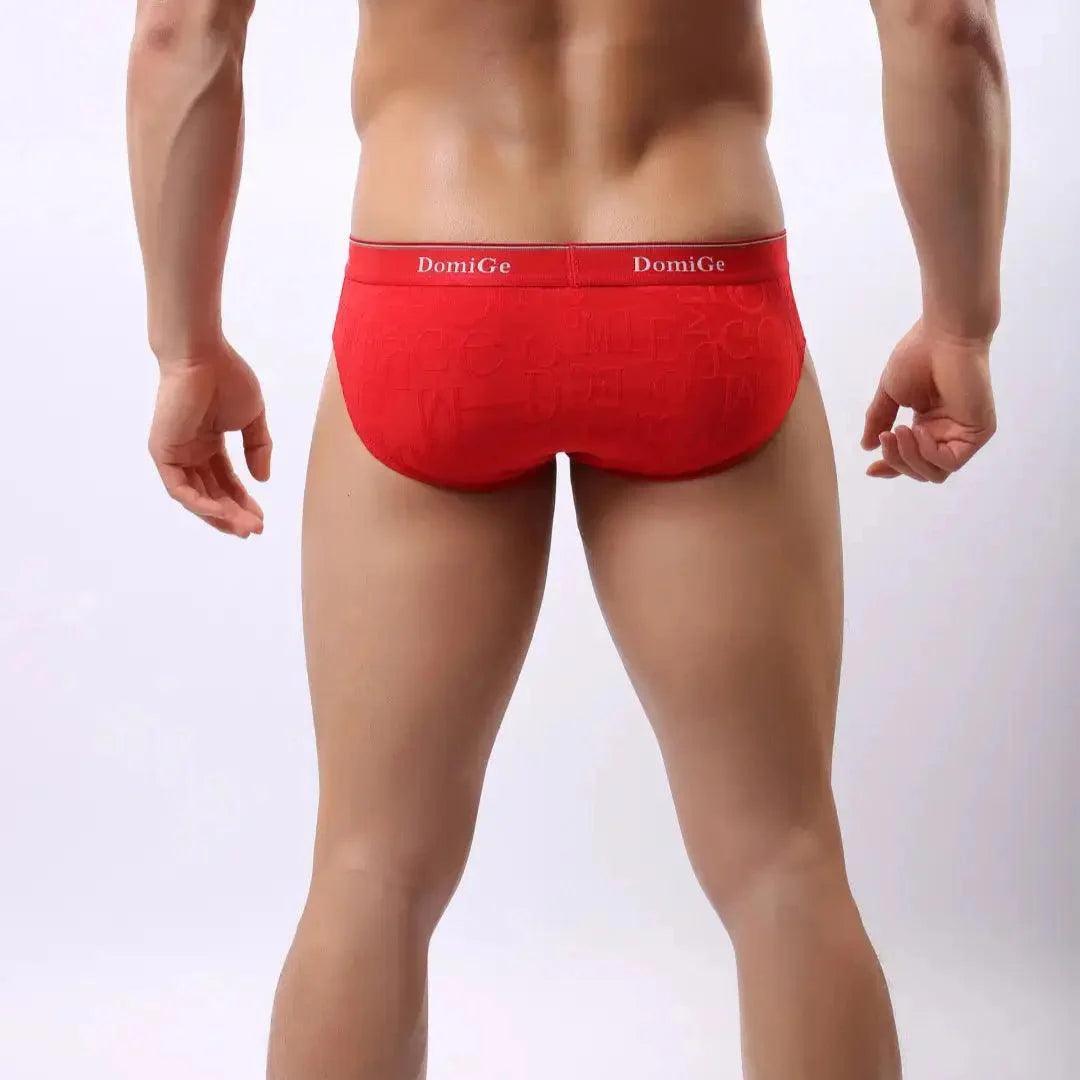 Men's Mid-Rise Bamboo Fiber Briefs with Enhanced Comfort Design and Signature Logo Waistband Male Underwear - His Inwear