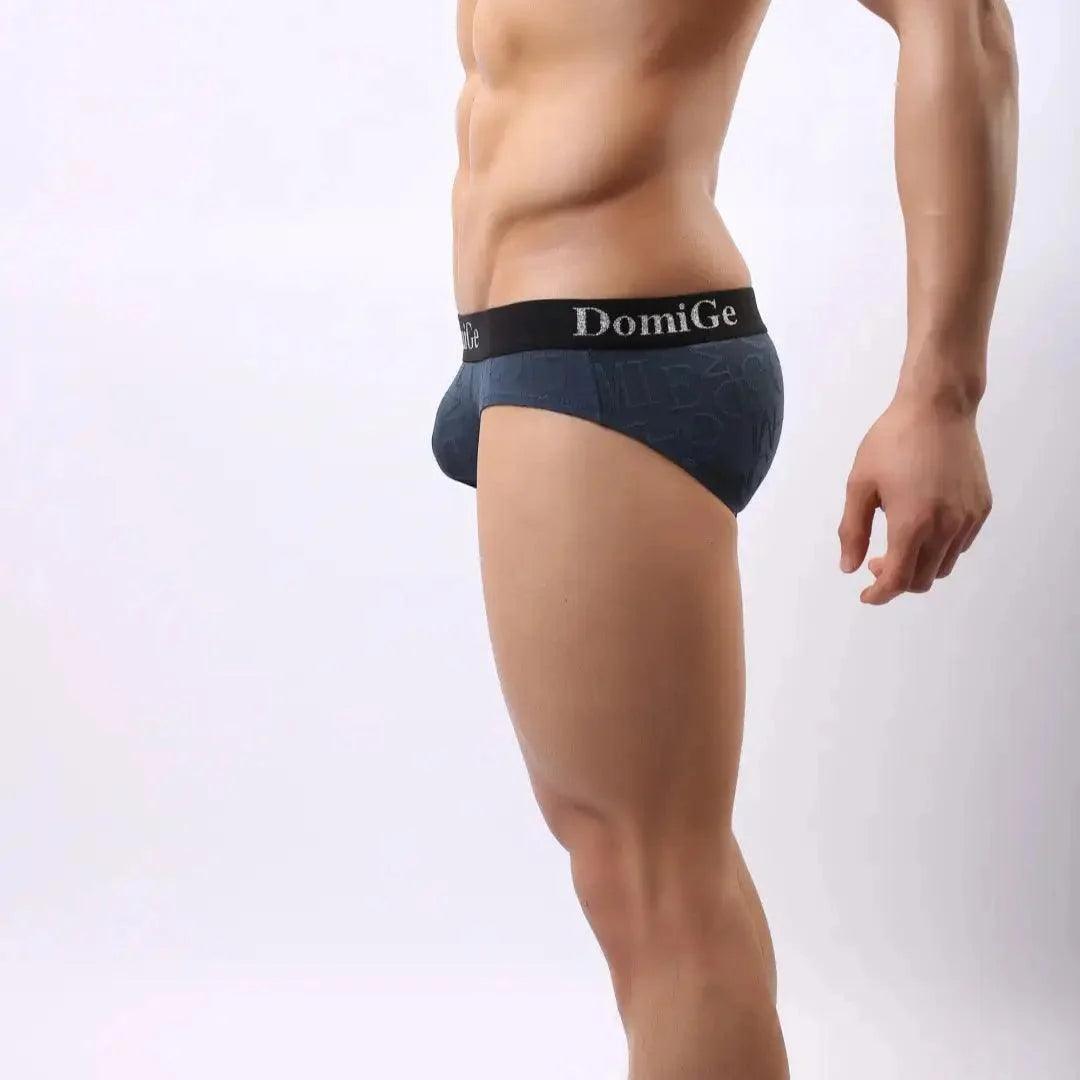 Men's Mid-Rise Bamboo Fiber Briefs with Enhanced Comfort Design and Signature Logo Waistband Male Underwear - His Inwear