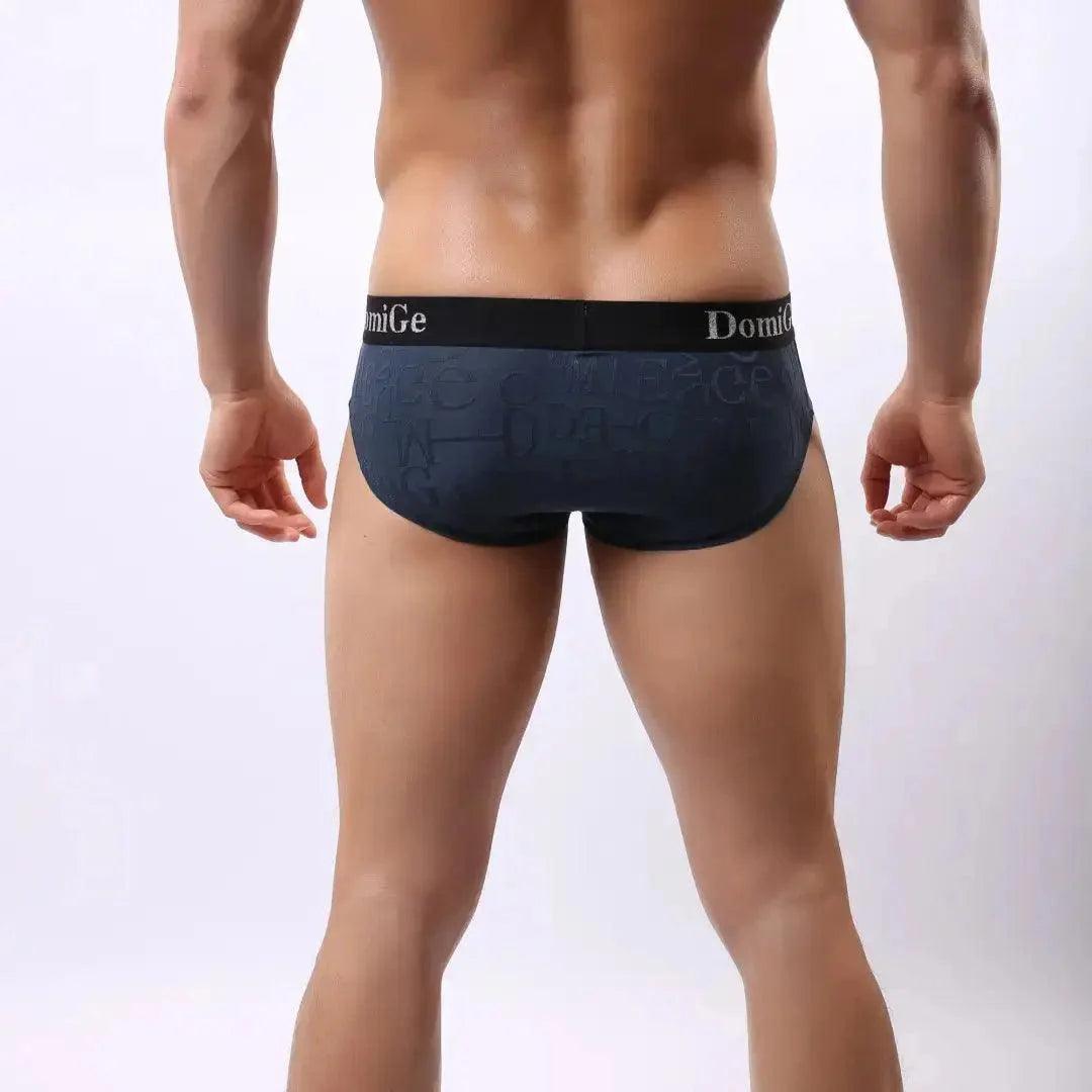 Men's Mid-Rise Bamboo Fiber Briefs with Enhanced Comfort Design and Signature Logo Waistband Male Underwear - His Inwear