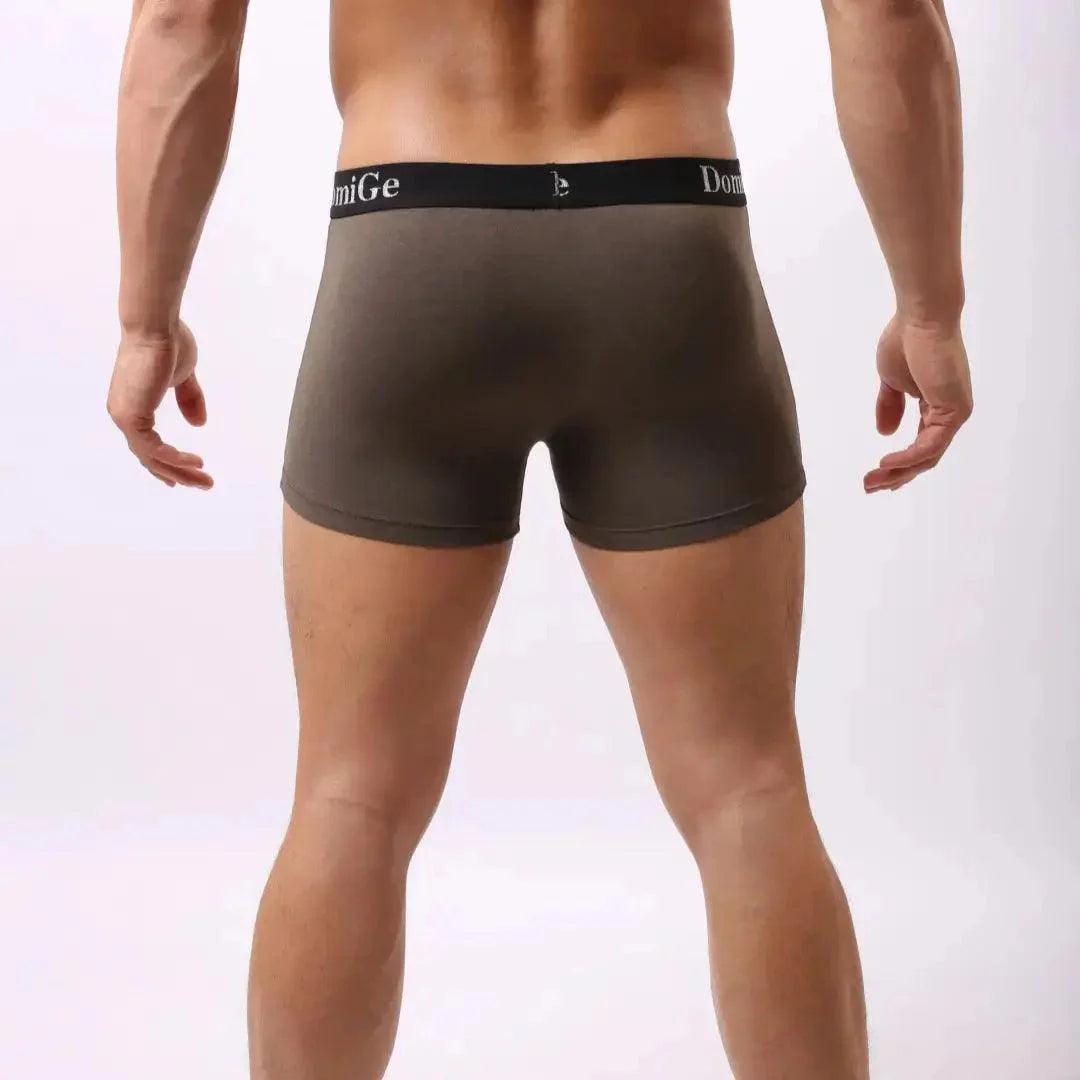 Men's Mid-Rise Modal Boxers with Silver Logo Waistband Pouch Male Underwear - His Inwear