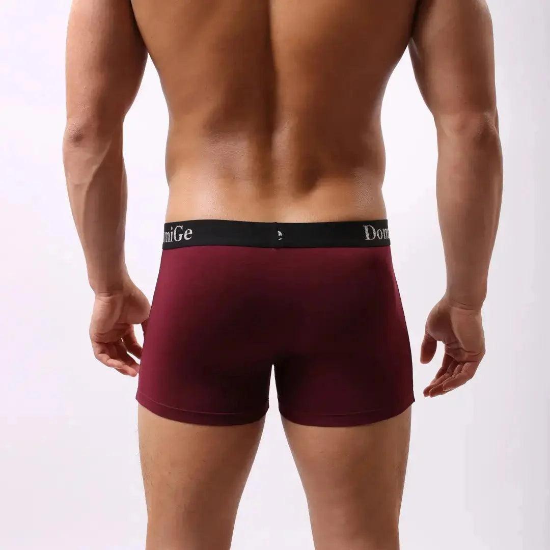 Men's Mid-Rise Modal Boxers with Silver Logo Waistband Pouch Male Underwear - His Inwear