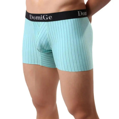 Men's Mid-Rise Striped Boxers with Seamless Leg Design and Silver Logo Waistband Male Underwears - His Inwear