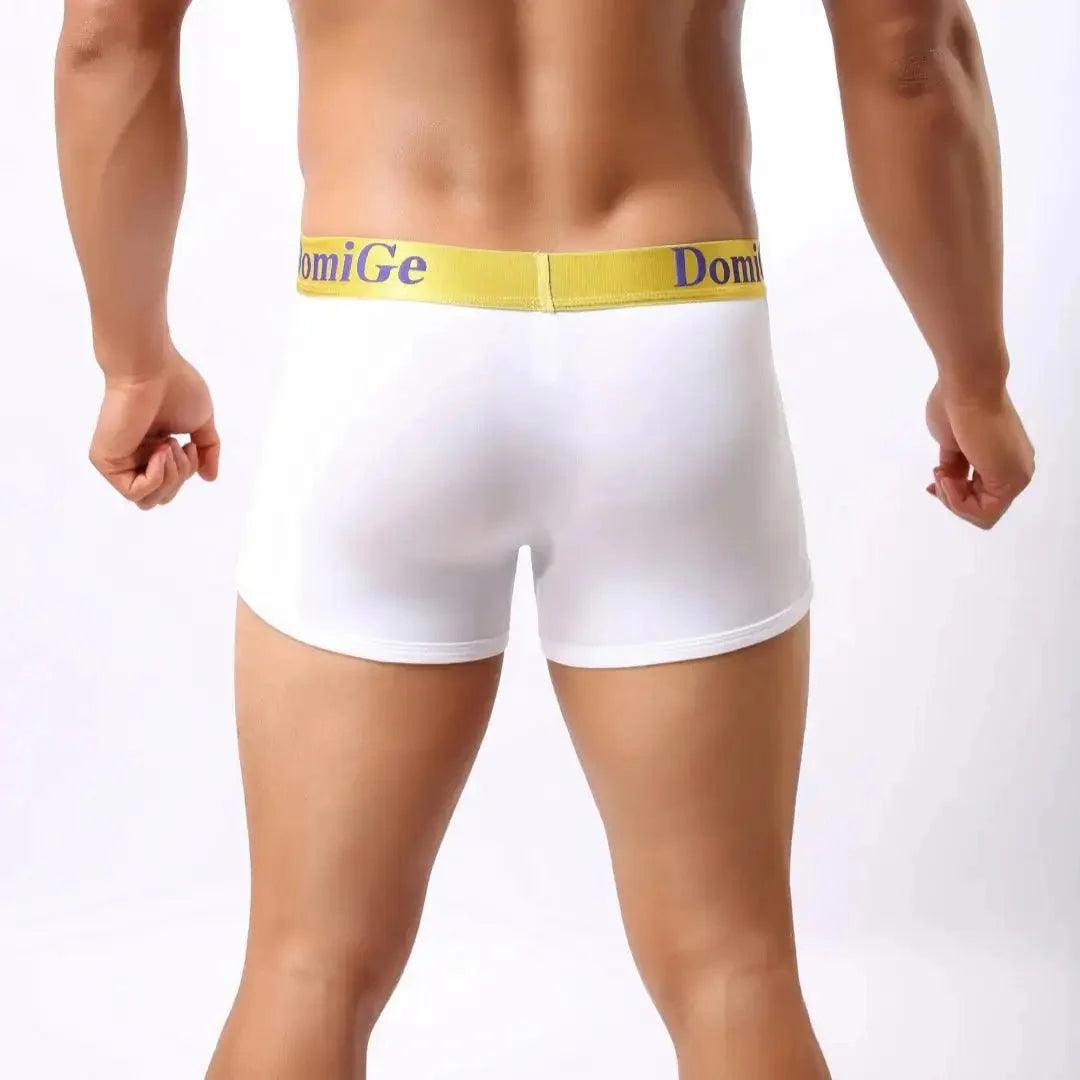 Men's Mid-Waist Boxer Briefs with Supportive U-Pouch and Logo Elastic Waistband Male Underwear - His Inwear