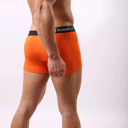 Men's Mid-Waist Modal Boxer Briefs with Silver Logo Elastic Waistband and Seamless Male Underwear - His Inwear