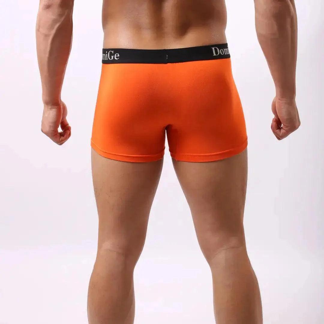 Men's Mid-Waist Modal Boxer Briefs with Silver Logo Elastic Waistband and Seamless Male Underwear - His Inwear