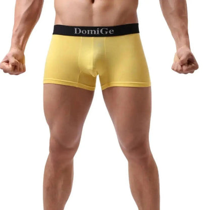 Men's Mid-Waist Modal Boxer Briefs with Silver Logo Elastic Waistband and Seamless Male Underwear - His Inwear