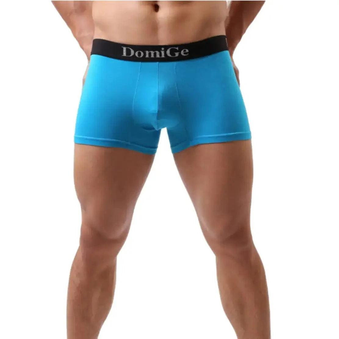 Men's Mid-Waist Modal Boxer Briefs with Silver Logo Elastic Waistband and Seamless Male Underwear - His Inwear