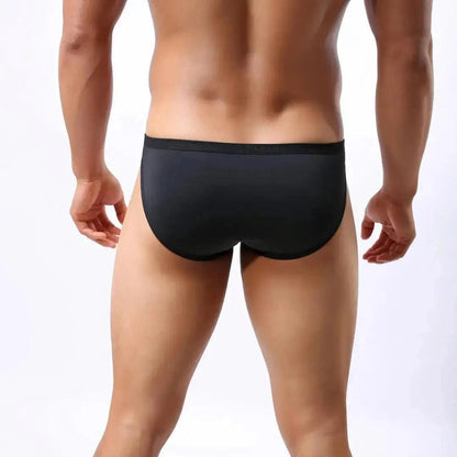 Men's Premium Ice Silk Nylon Briefs Nylon Logo Waistband and Seamless Rear Design Male Underwear - His Inwear