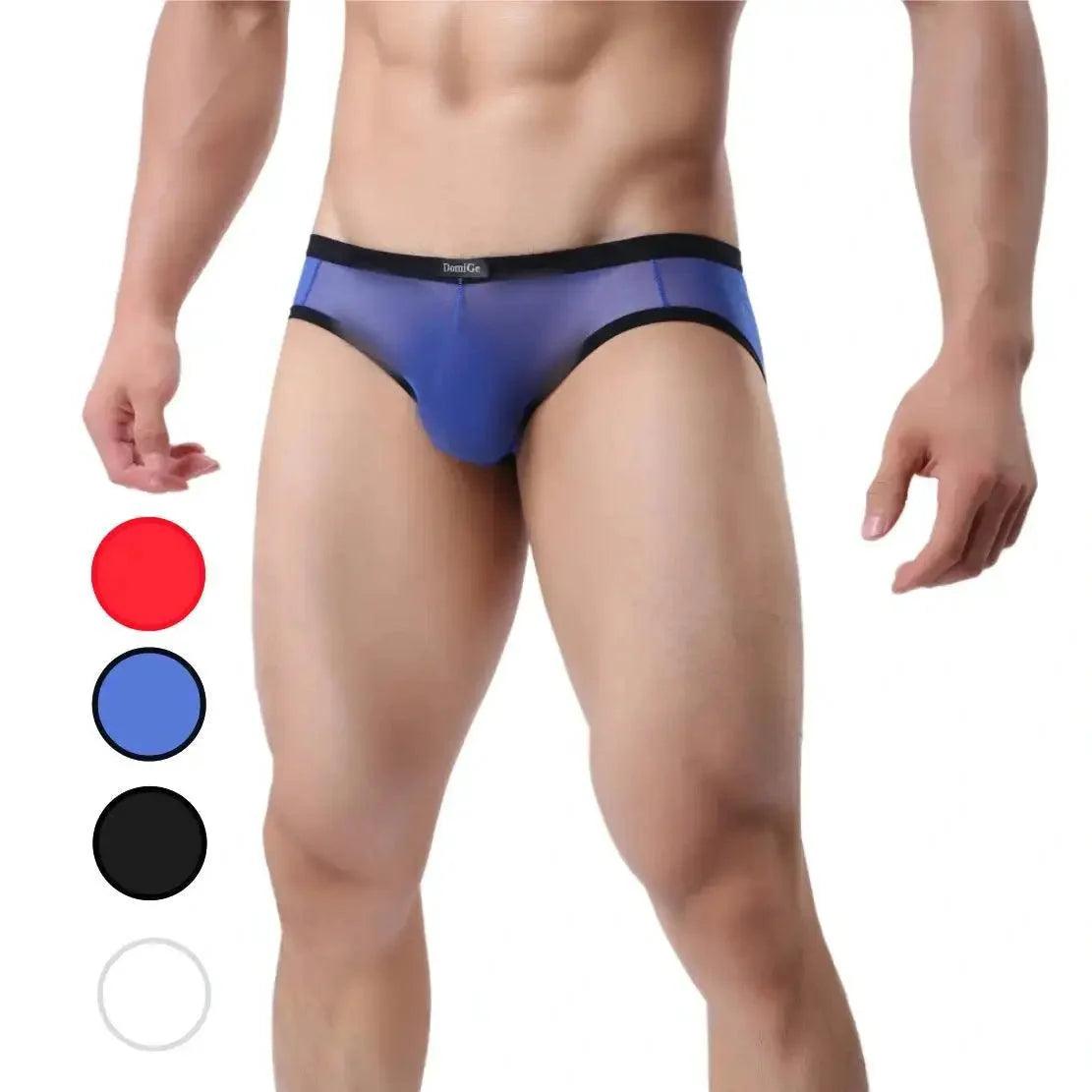 Men's Sheer Briefs with Logo Elastic Waistband and Contoured Pouch Design Male Underwear - His Inwear