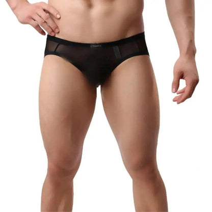 Men's Sheer Briefs with Logo Elastic Waistband and Contoured Pouch Design Male Underwear - His Inwear