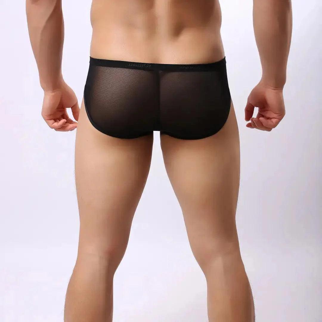 Men's Sheer Briefs with Logo Elastic Waistband and Contoured Pouch Design Male Underwear - His Inwear