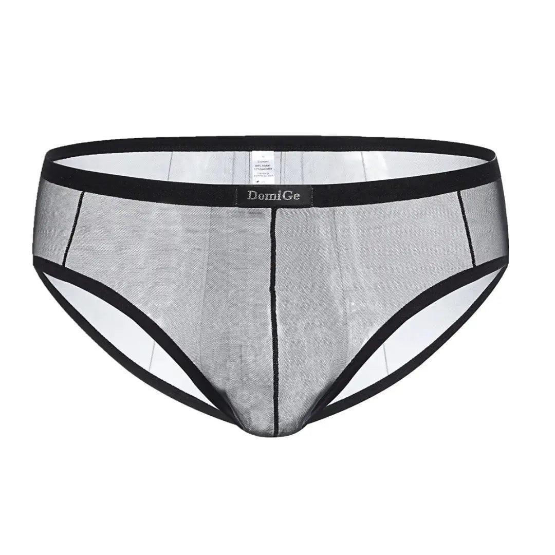 Men's Sheer Briefs with Logo Elastic Waistband and Contoured Pouch Design Male Underwear - His Inwear