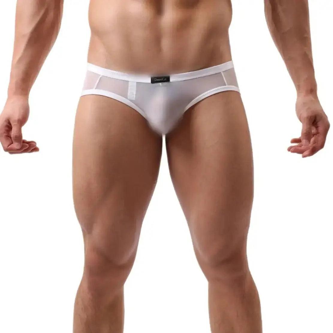 Men's Sheer Briefs with Logo Elastic Waistband and Contoured Pouch Design Male Underwear - His Inwear