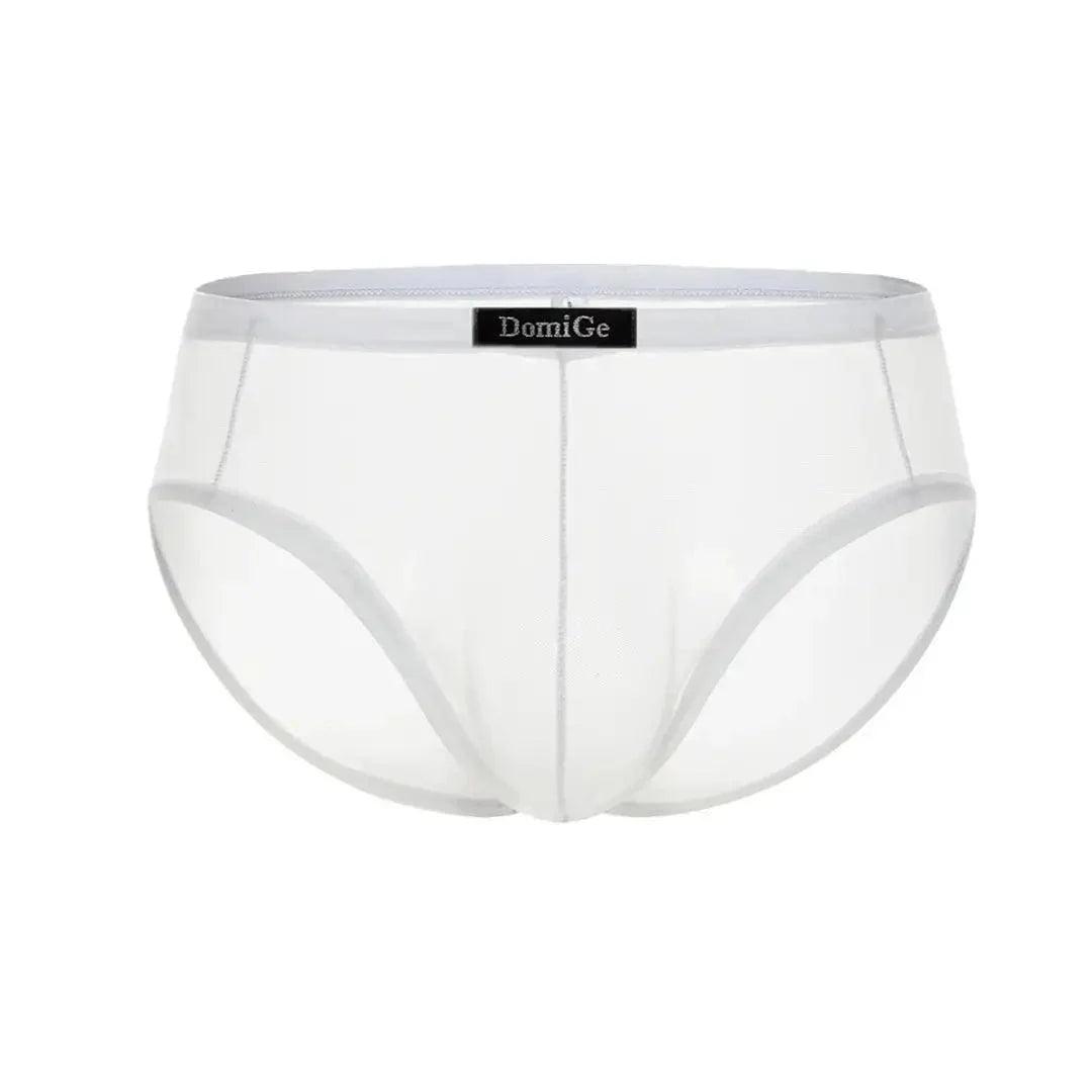 Men's Sheer Briefs with Logo Elastic Waistband and Contoured Pouch Design Male Underwear - His Inwear