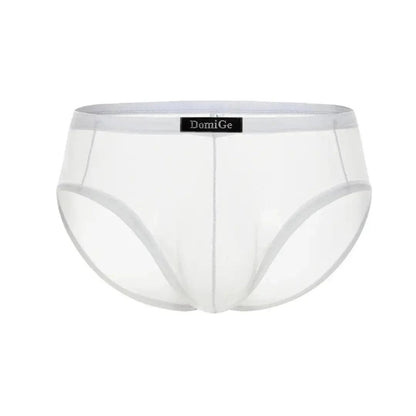 Men's Sheer Briefs with Logo Elastic Waistband and Contoured Pouch Design Male Underwear - His Inwear