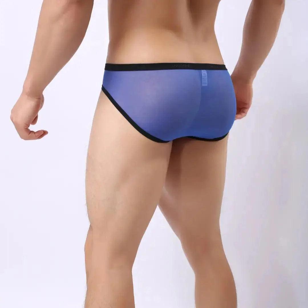 Men's Sheer Briefs with Logo Elastic Waistband and Contoured Pouch Design Male Underwear - His Inwear