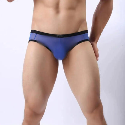 Men's Sheer Briefs with Logo Elastic Waistband and Contoured Pouch Design Male Underwear - His Inwear