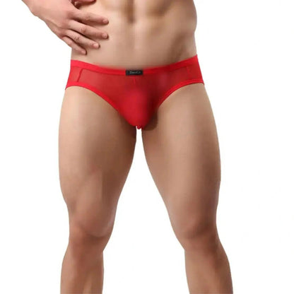 Men's Sheer Briefs with Logo Elastic Waistband and Contoured Pouch Design Male Underwear - His Inwear