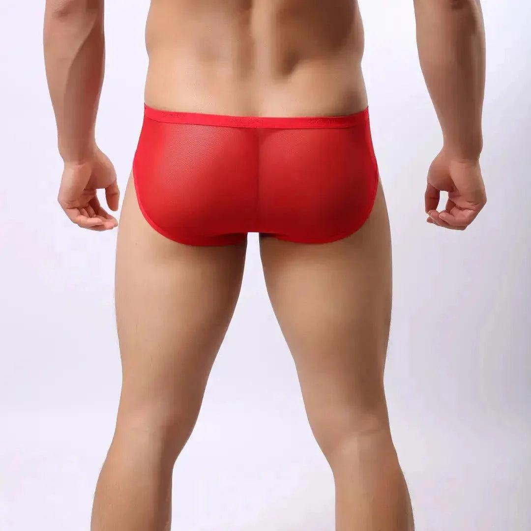 Men's Sheer Briefs with Logo Elastic Waistband and Contoured Pouch Design Male Underwear - His Inwear