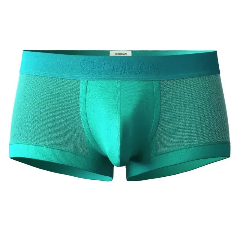 Seobean SEOBEAN Mesh Boxer Briefs for Men – Semi-Transparent