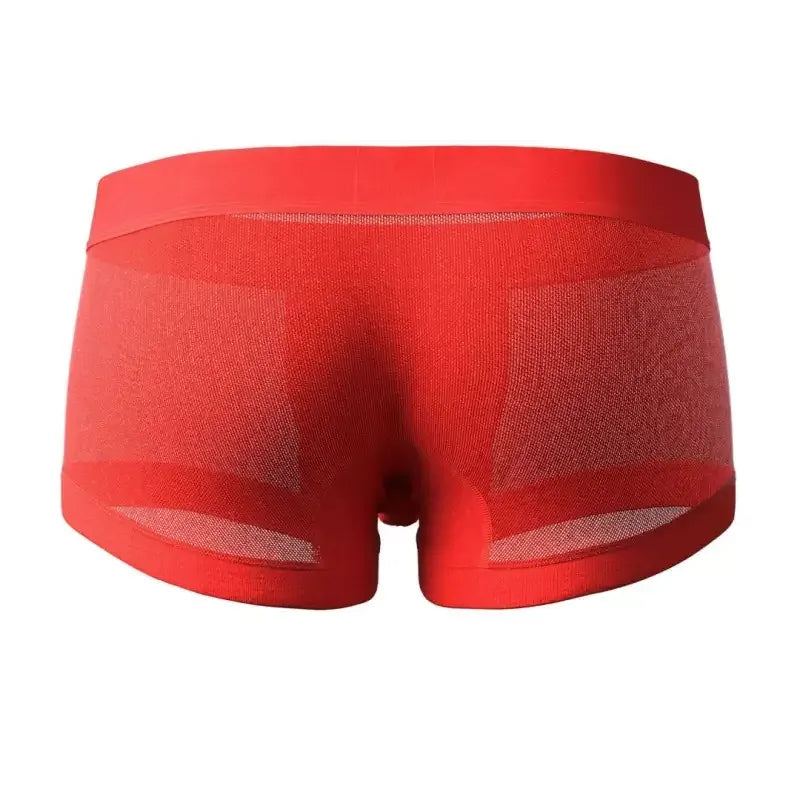 Seobean SEOBEAN Mesh Boxer Briefs for Men – Semi-Transparent