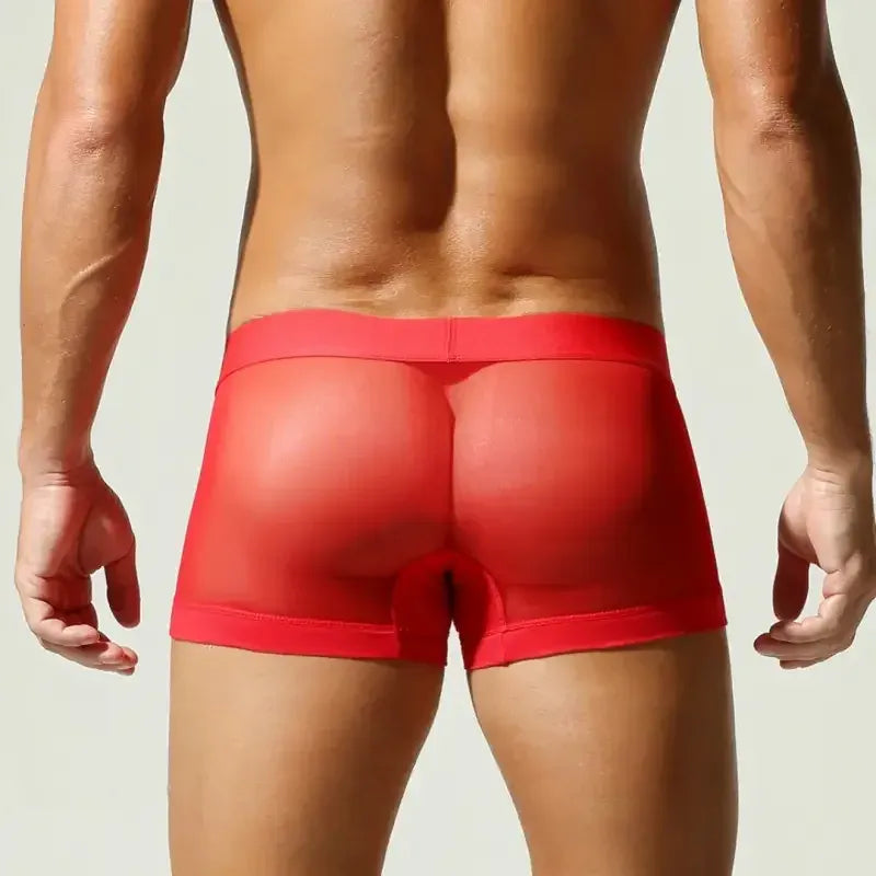 Seobean SEOBEAN Mesh Boxer Briefs for Men – Semi-Transparent
