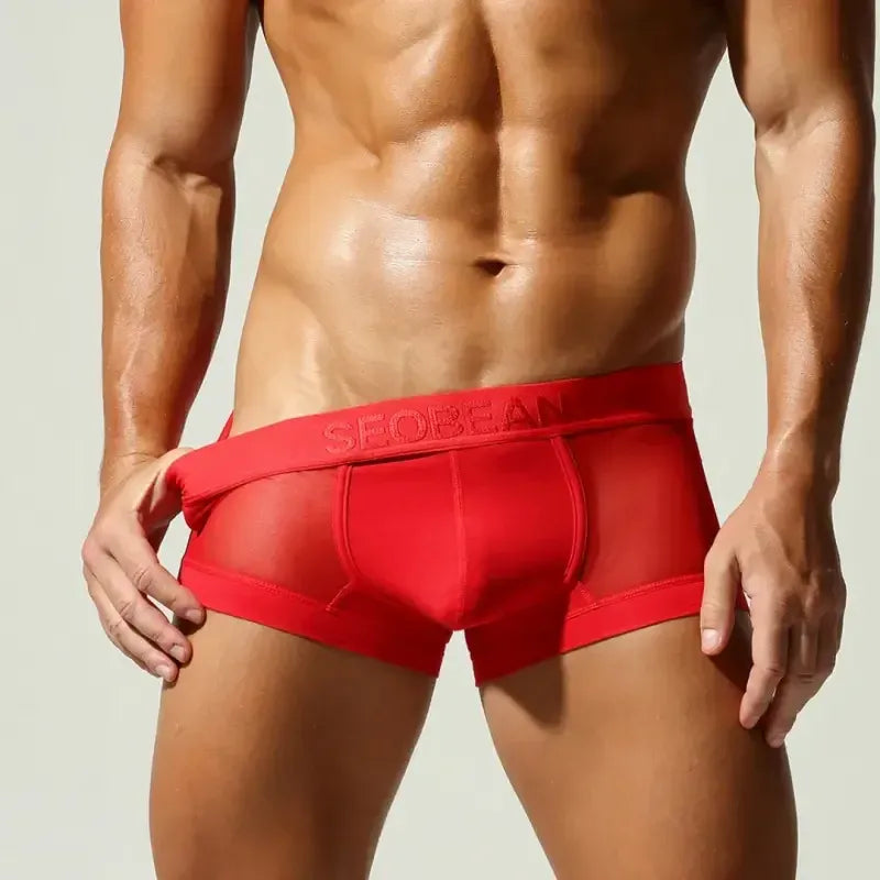 Seobean SEOBEAN Mesh Boxer Briefs for Men – Semi-Transparent