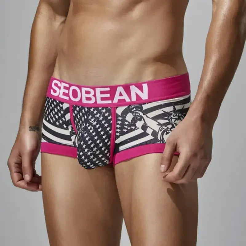 Seobean Seobean Statue of Liberty & Flag Boxer Briefs 250206
