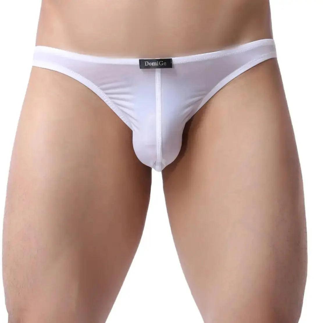 SleekFit Men's Ultra-Comfort Nylon-Spandex Low-Rise Briefs with Full Coverage Male Briefs Underwear - His Inwear