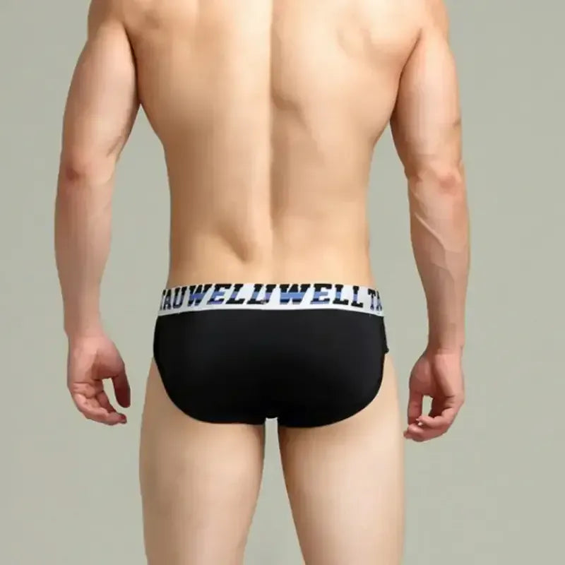 TAUWELL Tauwell Low Rise Nylon Brief Side Stripe 23101