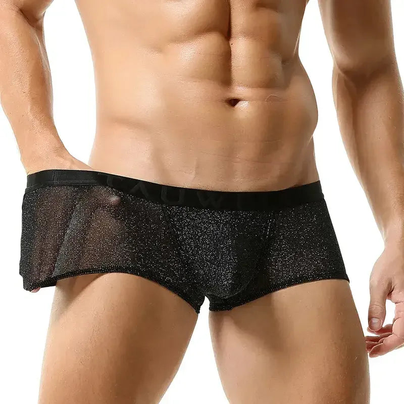TAUWELL Tauwell Men's Low Rise Shiny Boxer Briefs