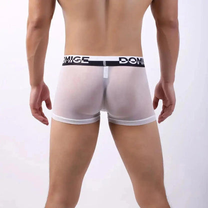 Tempt Sheer Men’s Low Rise Sexy Sheer See Through Underwear for Man - His Inwear