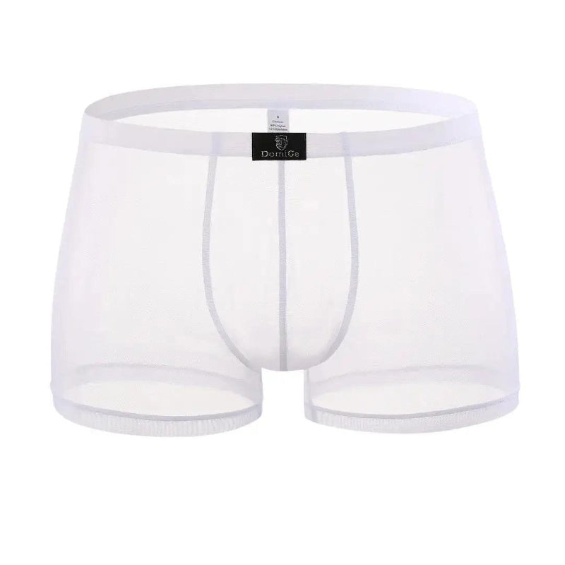 White sheer mesh boxer shorts 3D angle — quick-dry fabric	
